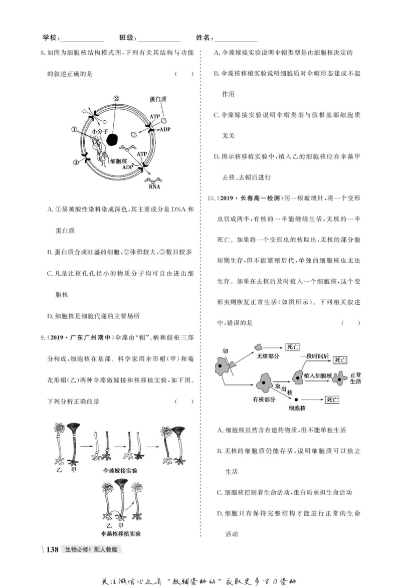 名师同步导学生物人教版必修1_名师同步导学_高中生物
