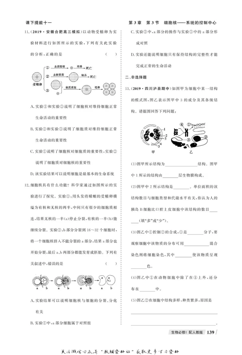 名师同步导学生物人教版必修1_名师同步导学_高中生物