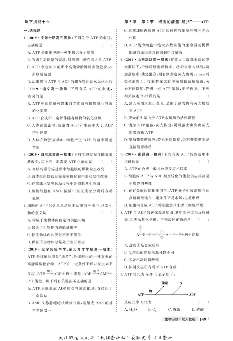 名师同步导学生物人教版必修1_名师同步导学_高中生物