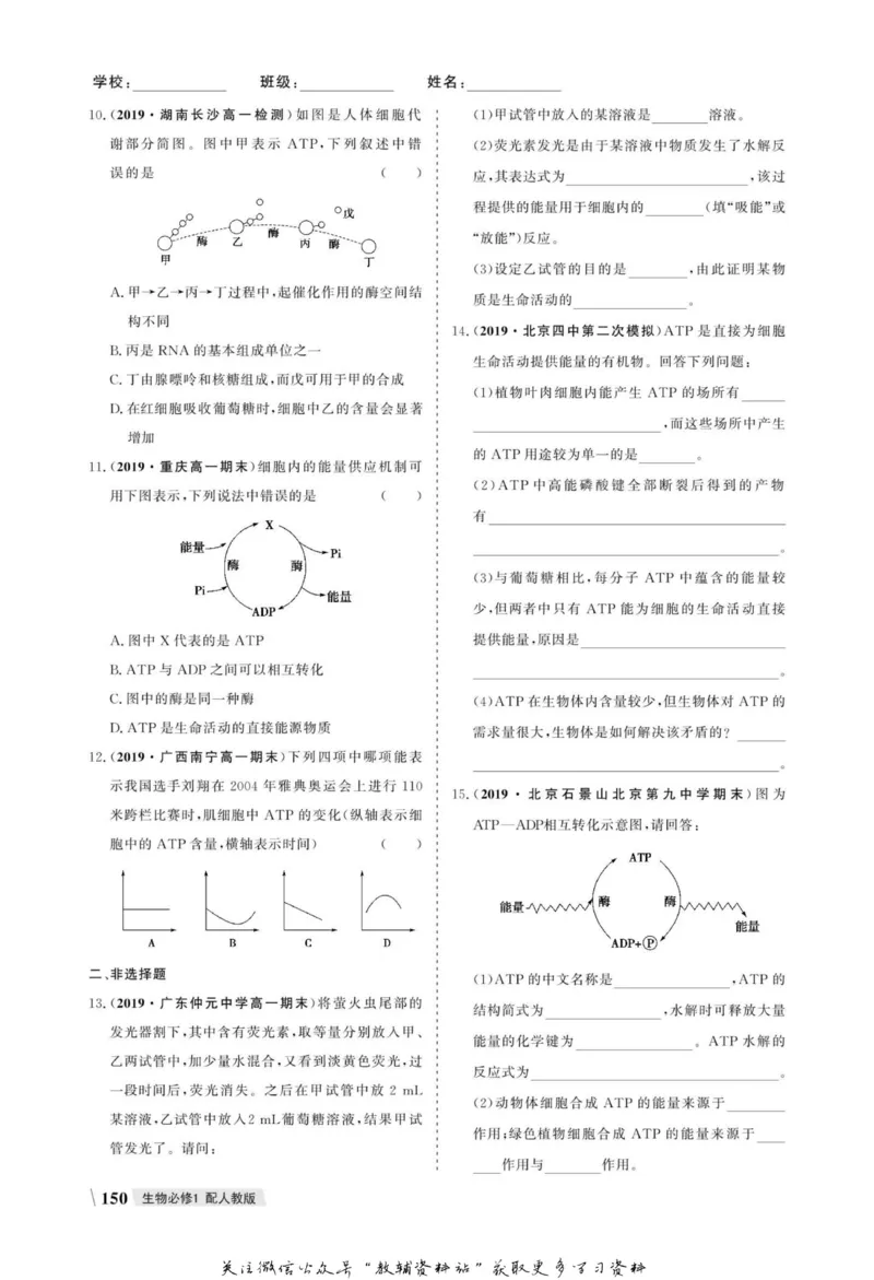 名师同步导学生物人教版必修1_名师同步导学_高中生物