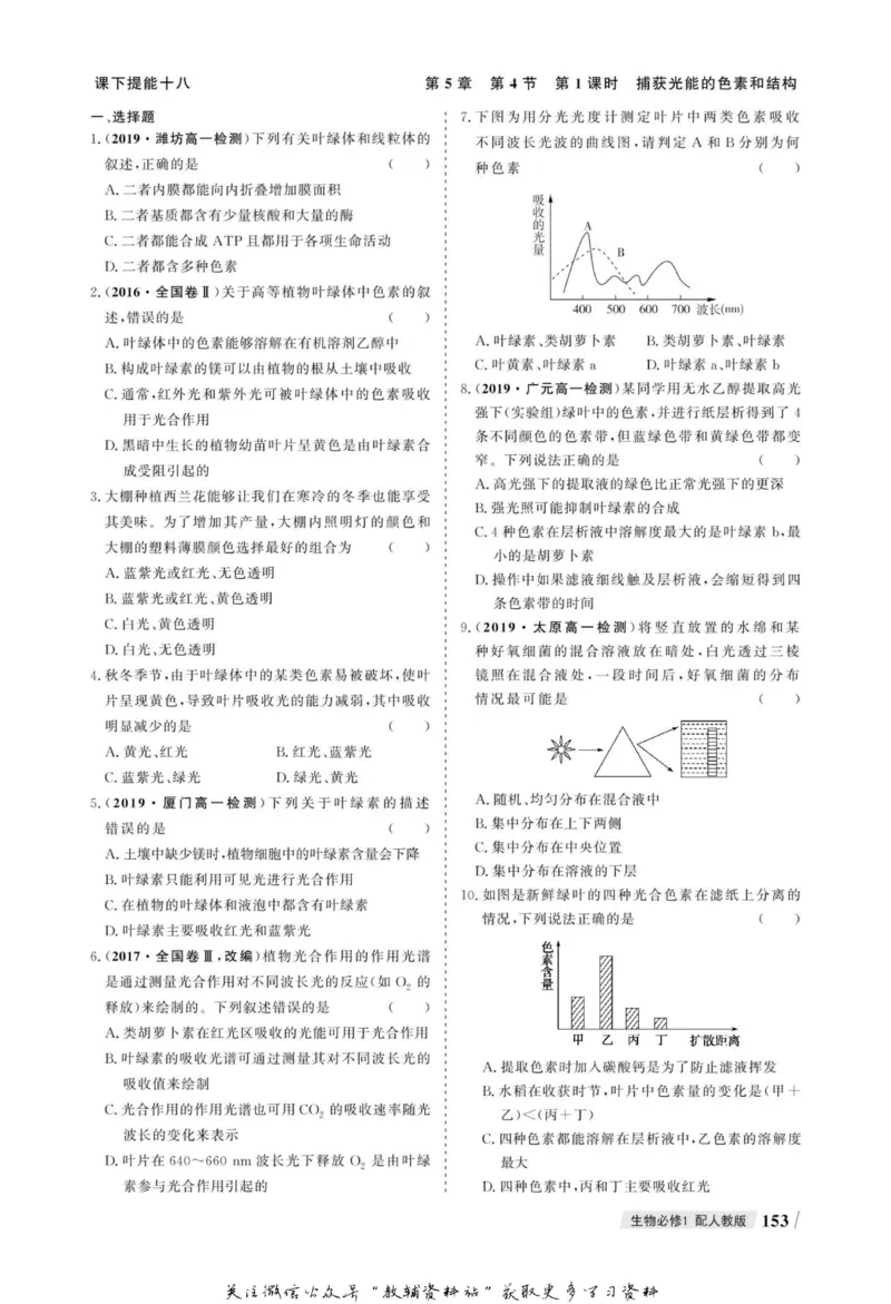 名师同步导学生物人教版必修1_名师同步导学_高中生物