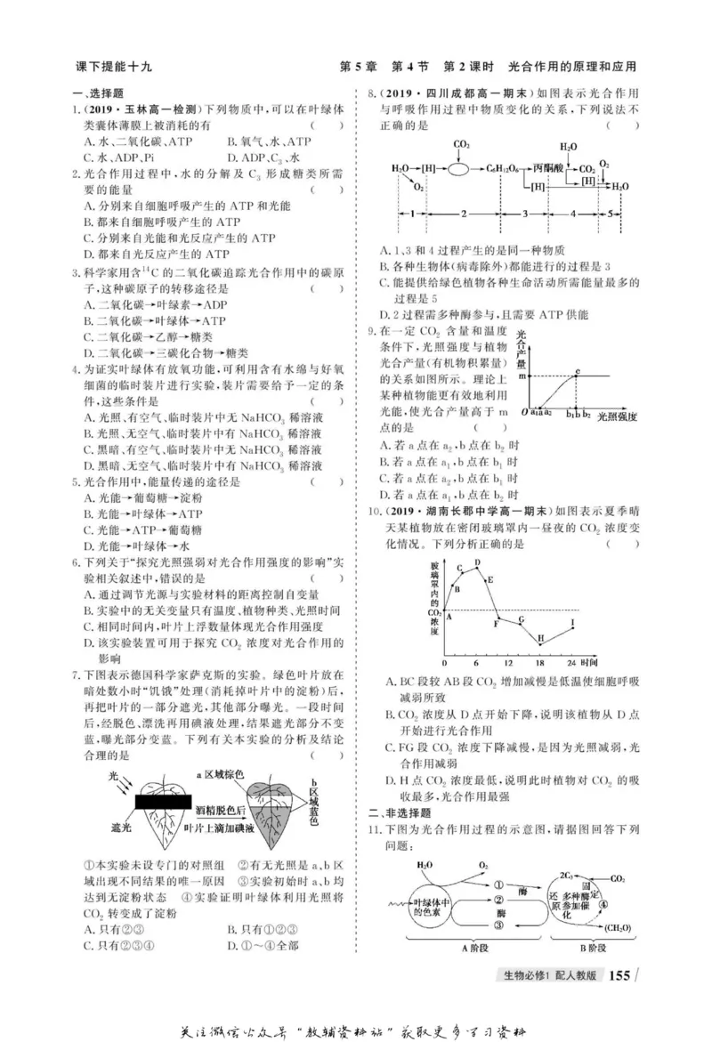 名师同步导学生物人教版必修1_名师同步导学_高中生物