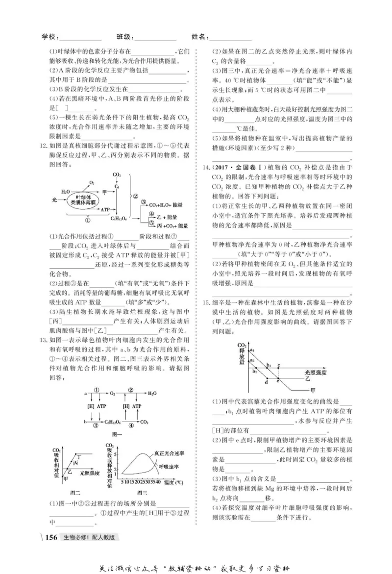 名师同步导学生物人教版必修1_名师同步导学_高中生物