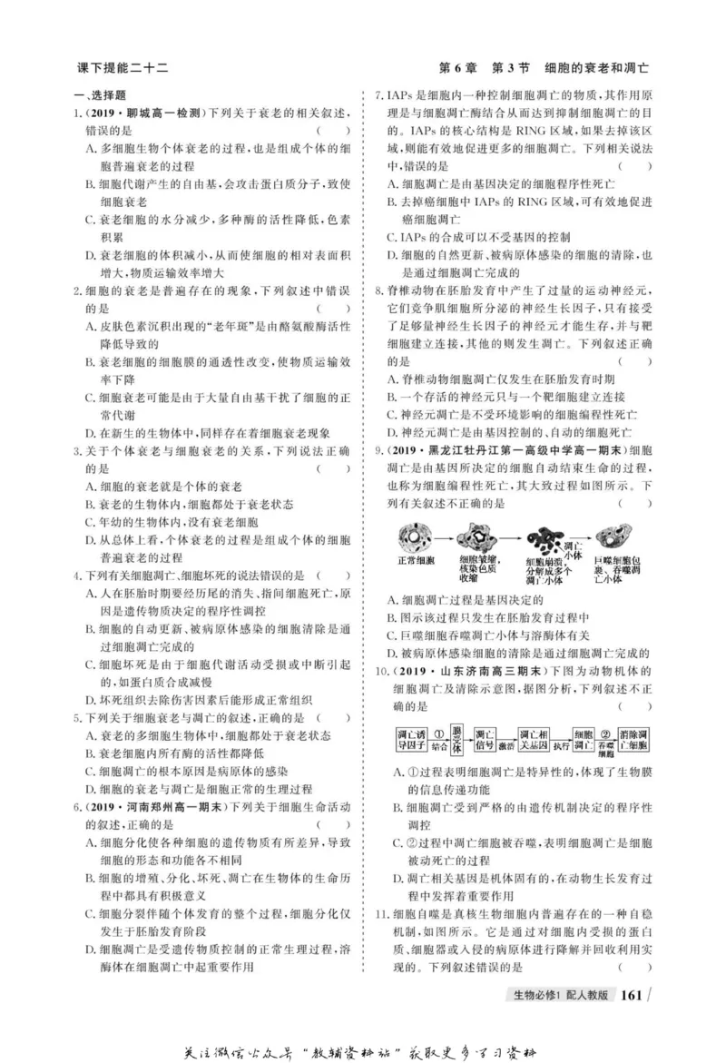 名师同步导学生物人教版必修1_名师同步导学_高中生物