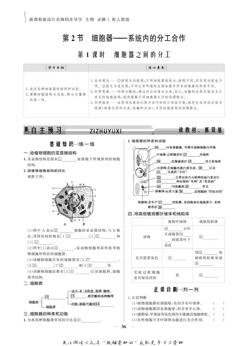 名师同步导学生物人教版必修1_名师同步导学_高中生物