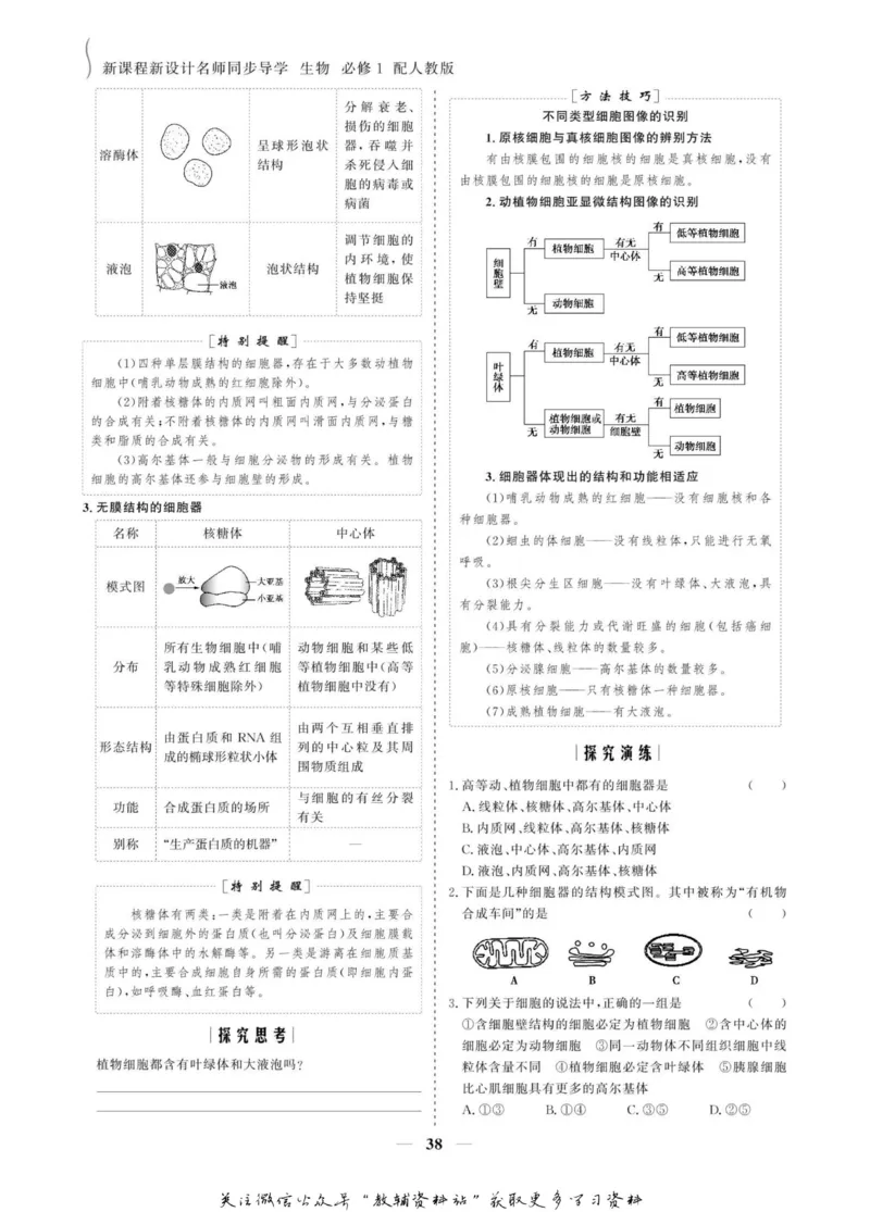 名师同步导学生物人教版必修1_名师同步导学_高中生物