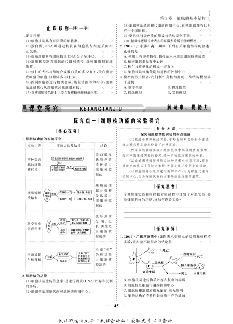 名师同步导学生物人教版必修1_名师同步导学_高中生物