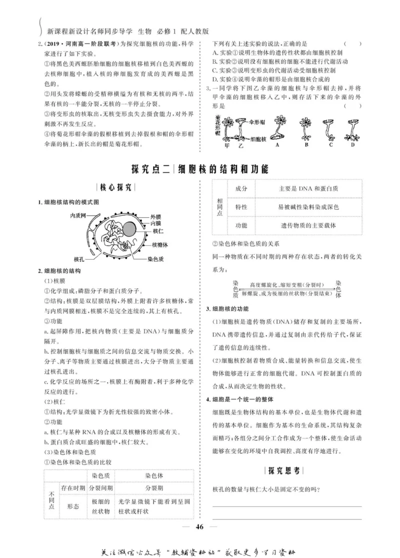 名师同步导学生物人教版必修1_名师同步导学_高中生物