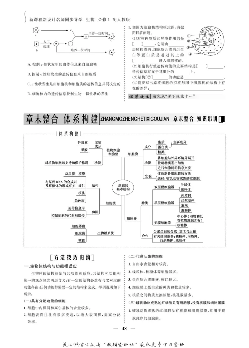 名师同步导学生物人教版必修1_名师同步导学_高中生物