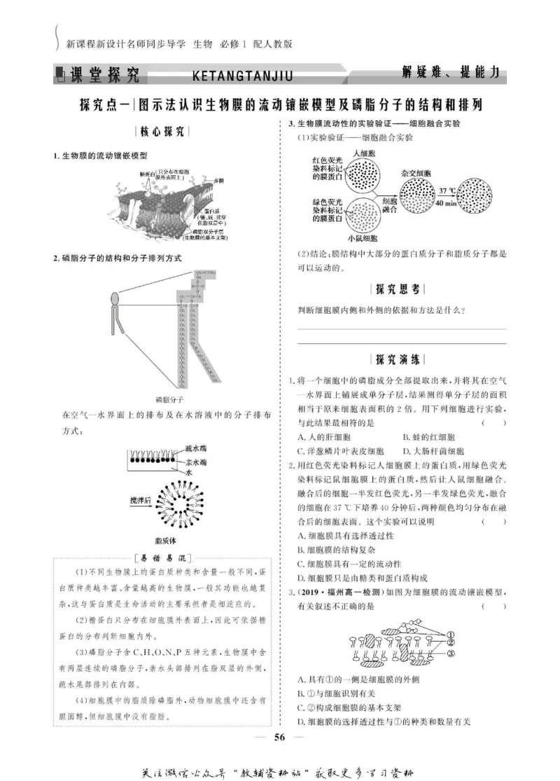 名师同步导学生物人教版必修1_名师同步导学_高中生物