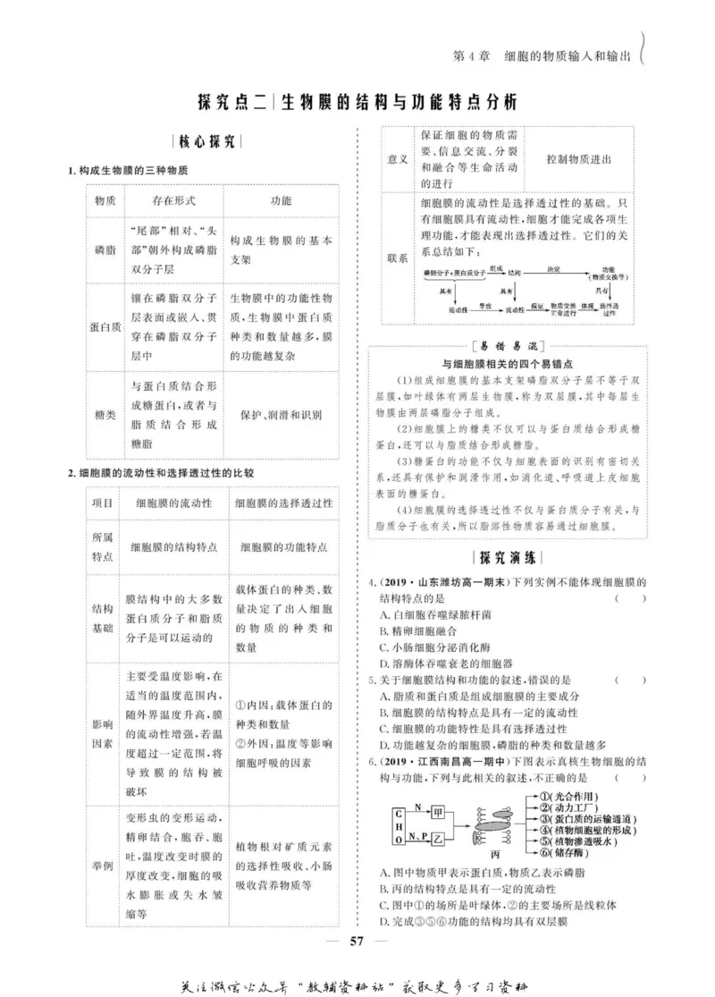 名师同步导学生物人教版必修1_名师同步导学_高中生物