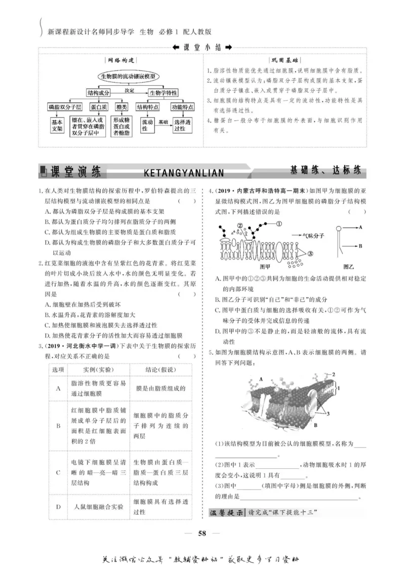 名师同步导学生物人教版必修1_名师同步导学_高中生物