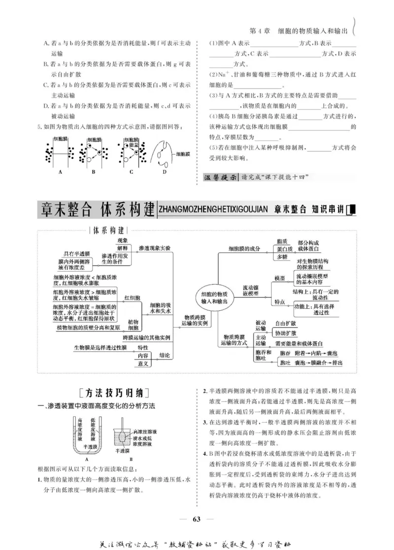 名师同步导学生物人教版必修1_名师同步导学_高中生物