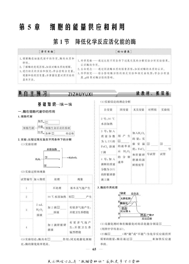 名师同步导学生物人教版必修1_名师同步导学_高中生物