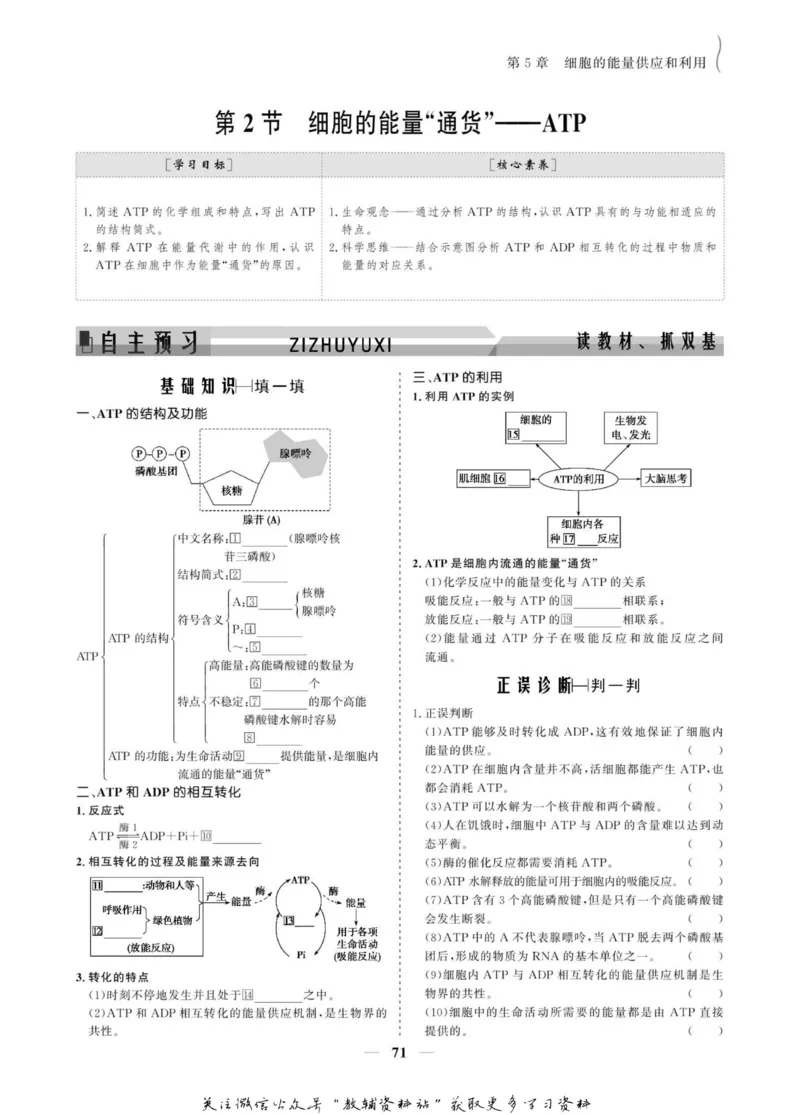 名师同步导学生物人教版必修1_名师同步导学_高中生物