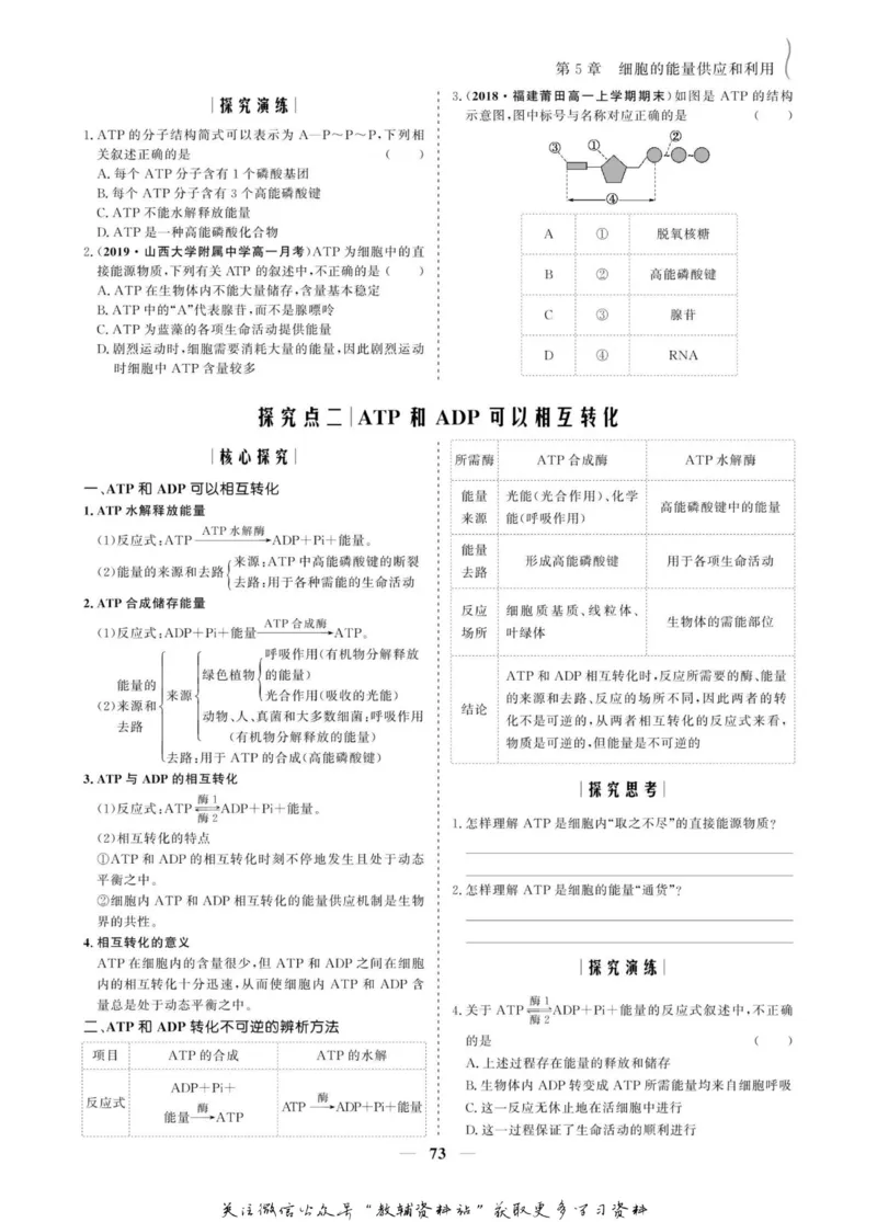 名师同步导学生物人教版必修1_名师同步导学_高中生物