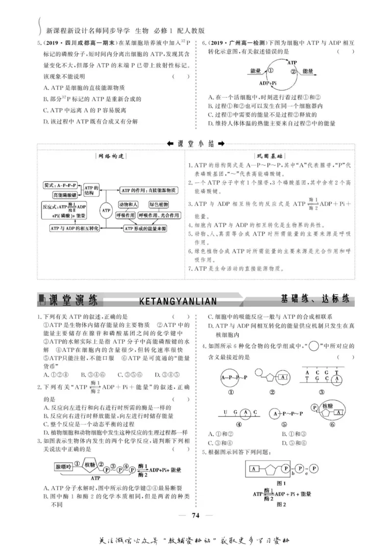 名师同步导学生物人教版必修1_名师同步导学_高中生物