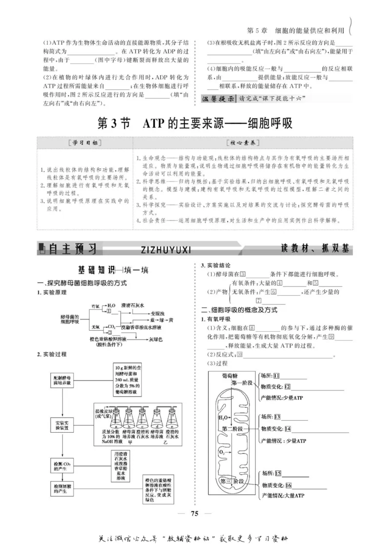 名师同步导学生物人教版必修1_名师同步导学_高中生物