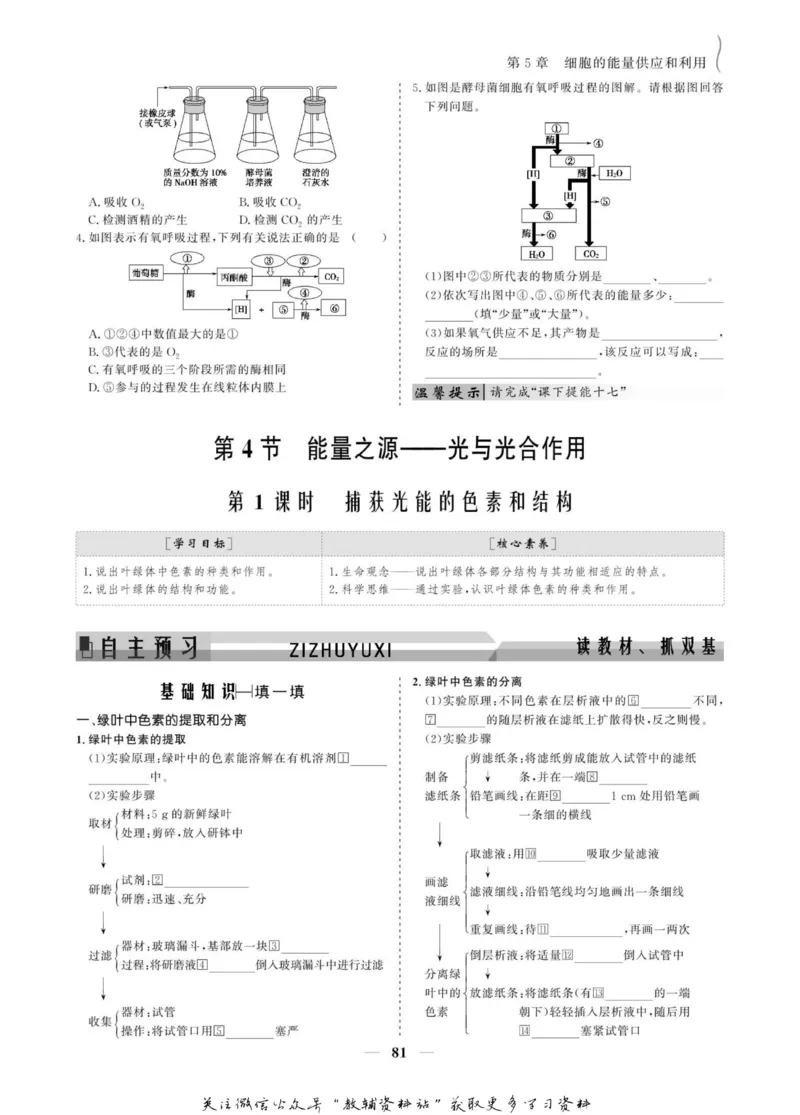 名师同步导学生物人教版必修1_名师同步导学_高中生物
