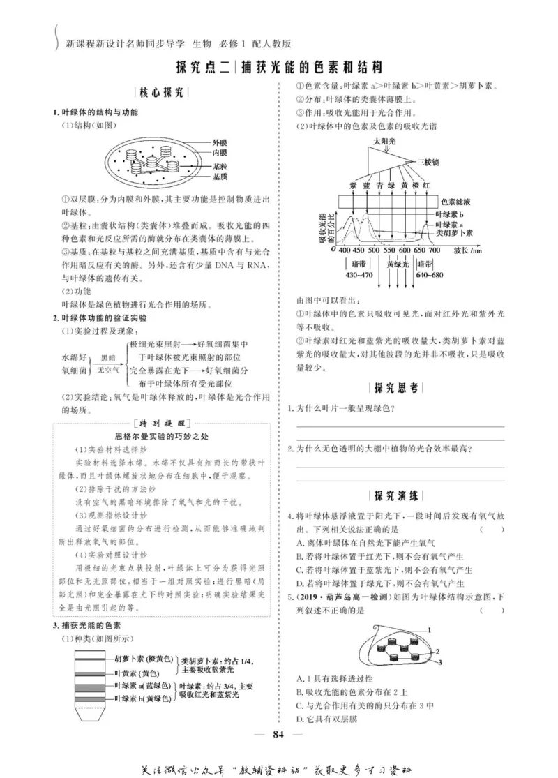 名师同步导学生物人教版必修1_名师同步导学_高中生物