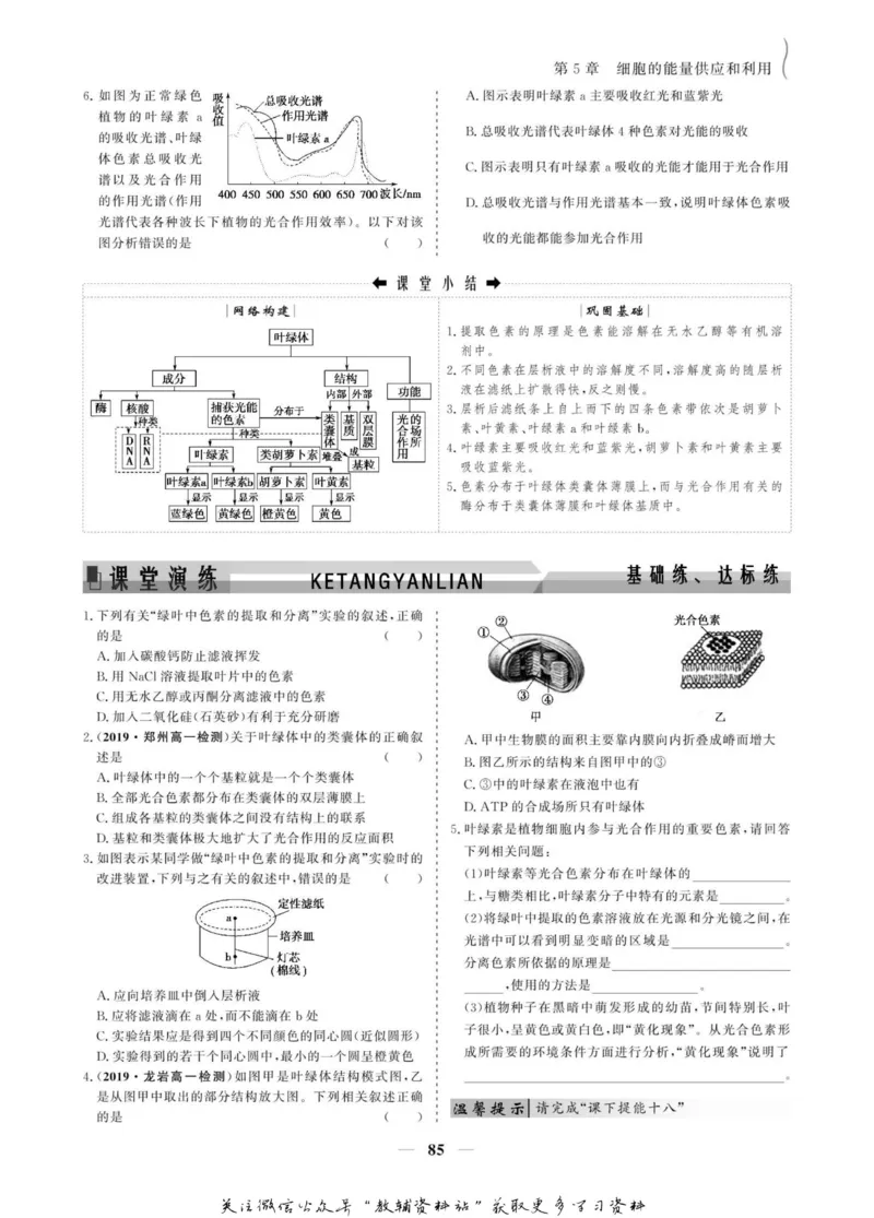 名师同步导学生物人教版必修1_名师同步导学_高中生物