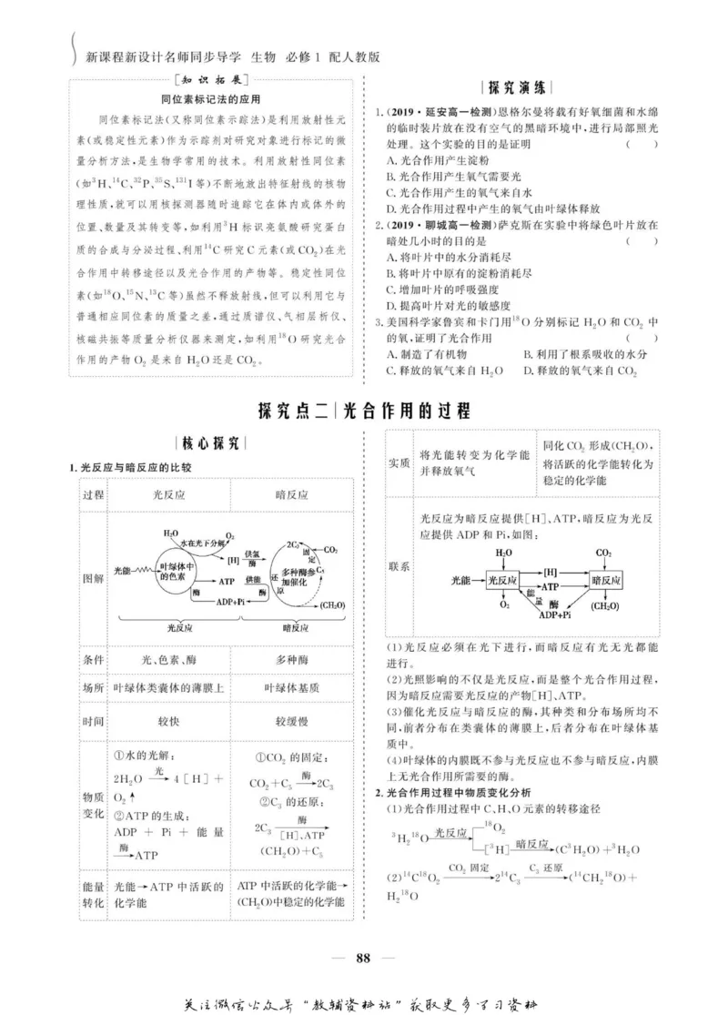 名师同步导学生物人教版必修1_名师同步导学_高中生物