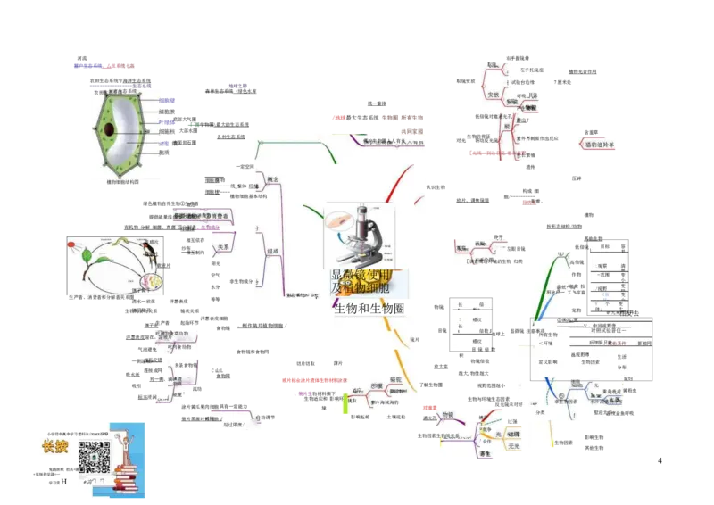 初中生物-思维导图（7图）_高中全科学习导图全套_（赠送）小学、初中、高中全科九门精品思维导图（621图）-可下载打印）