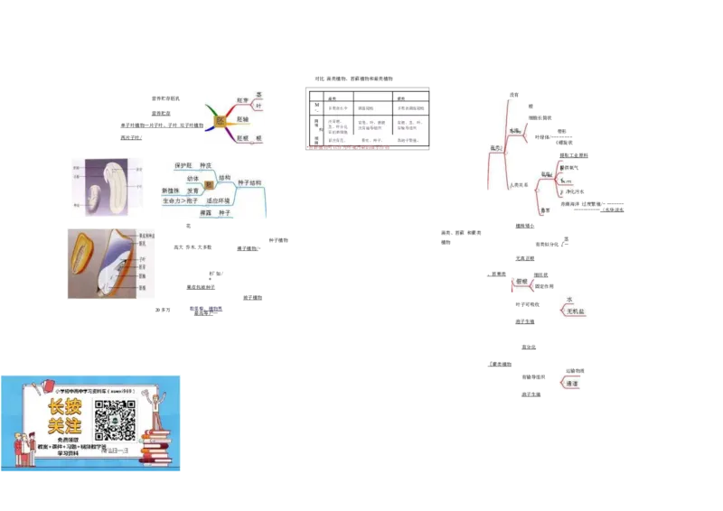 初中生物-思维导图（7图）_高中全科学习导图全套_（赠送）小学、初中、高中全科九门精品思维导图（621图）-可下载打印）