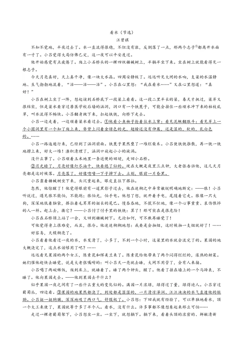 重难点06现代文阅读II小说阅读中情节与环境分析（解析版）_01高考语文_4.22024年新高考资料_3.2024专项复习_2024年高考语文热点&middot;重点&middot;难点专练（新高考专用）