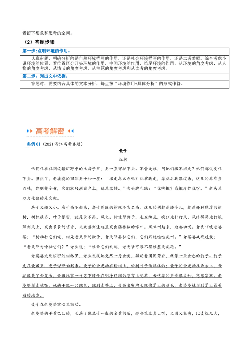 解密06文学类文本阅读小说之环境分析（讲义）（解析版）_01高考语文_4.22024年新高考资料_2.2024二轮复习