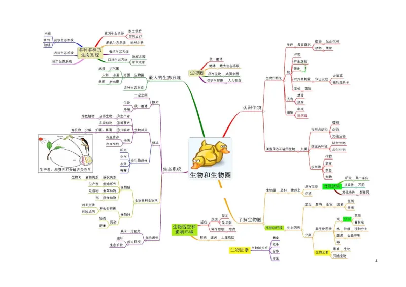 初中生物-思维导图（7图）_高中全科学习导图全套_（赠送）小学、初中、高中全科九门精品思维导图（621图）-可下载打印）