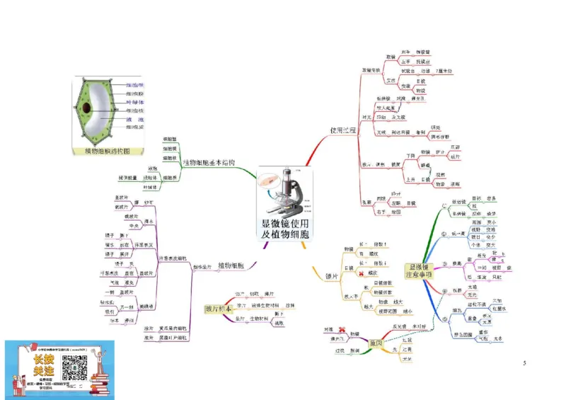 初中生物-思维导图（7图）_高中全科学习导图全套_（赠送）小学、初中、高中全科九门精品思维导图（621图）-可下载打印）