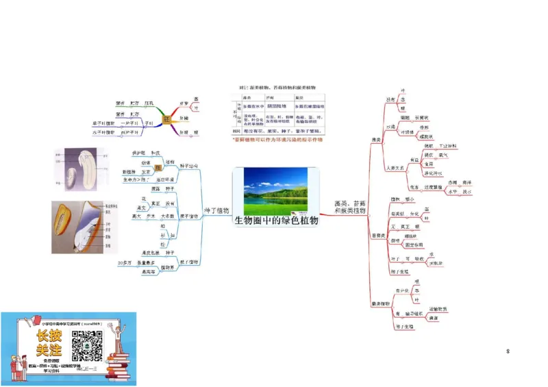 初中生物-思维导图（7图）_高中全科学习导图全套_（赠送）小学、初中、高中全科九门精品思维导图（621图）-可下载打印）