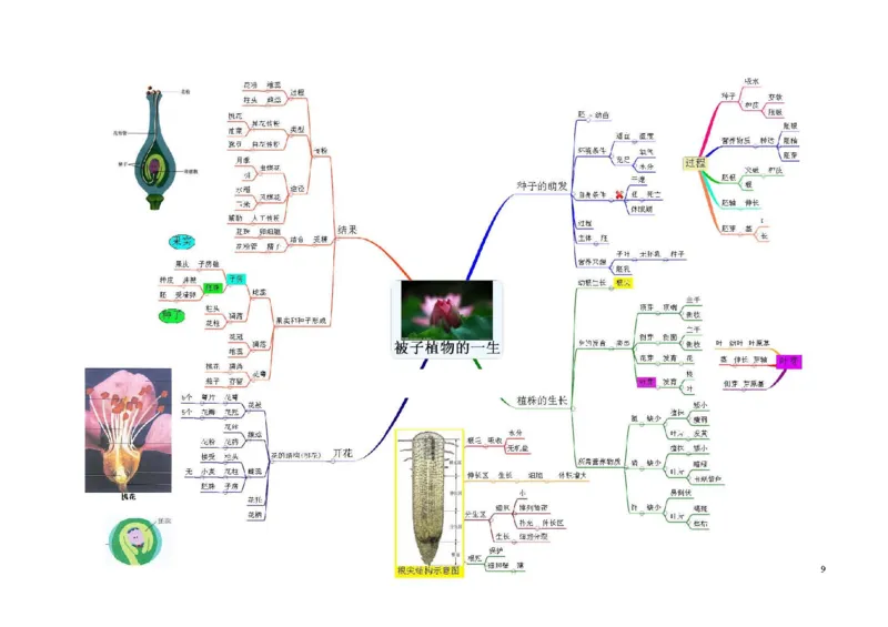 初中生物-思维导图（7图）_高中全科学习导图全套_（赠送）小学、初中、高中全科九门精品思维导图（621图）-可下载打印）