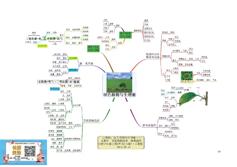 初中生物-思维导图（7图）_高中全科学习导图全套_（赠送）小学、初中、高中全科九门精品思维导图（621图）-可下载打印）