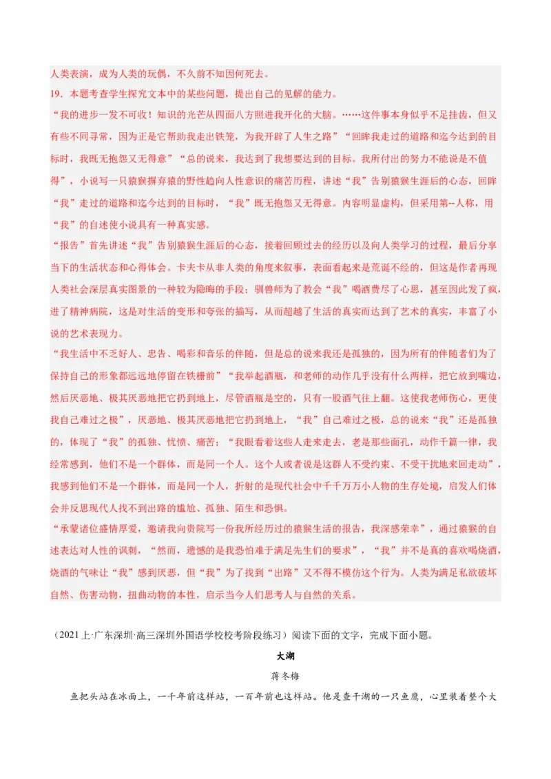 解密08文学类文本阅读小说之综合探究分析（分层训练）（解析版）_01高考语文_4.22024年新高考资料_2.2024二轮复习