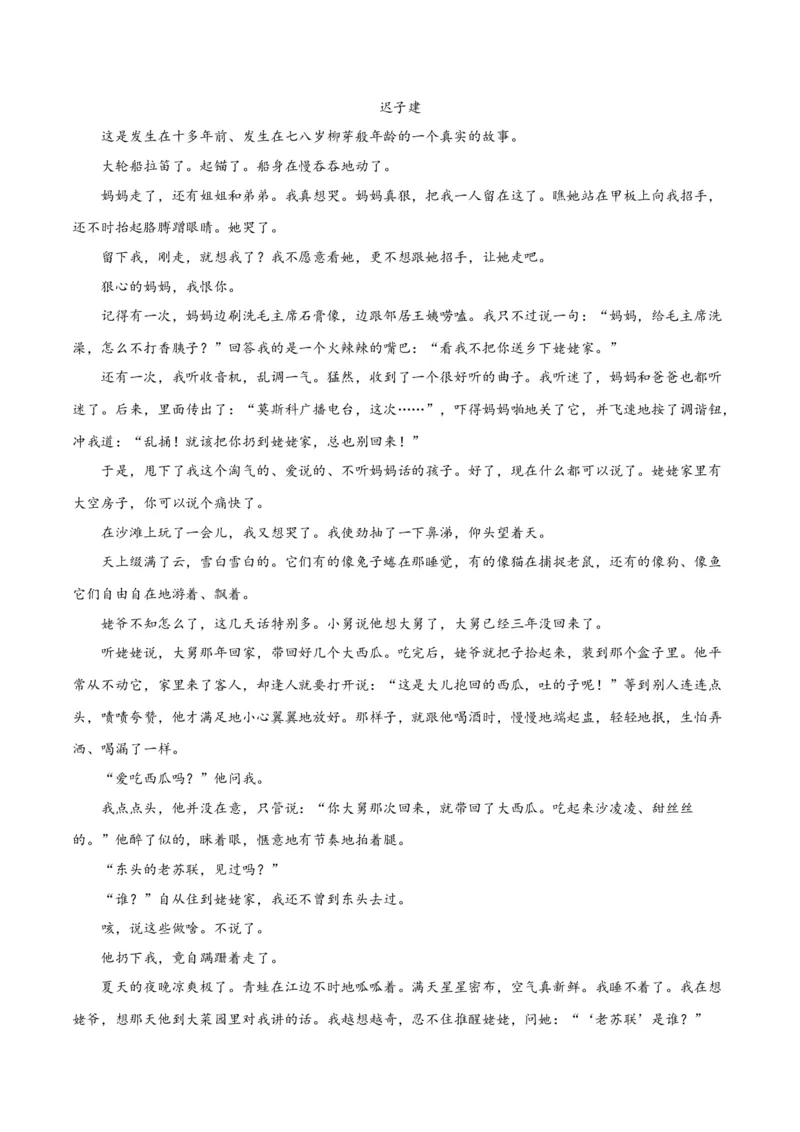 解密08文学类文本阅读小说之综合探究分析（分层训练）（解析版）_01高考语文_4.22024年新高考资料_2.2024二轮复习