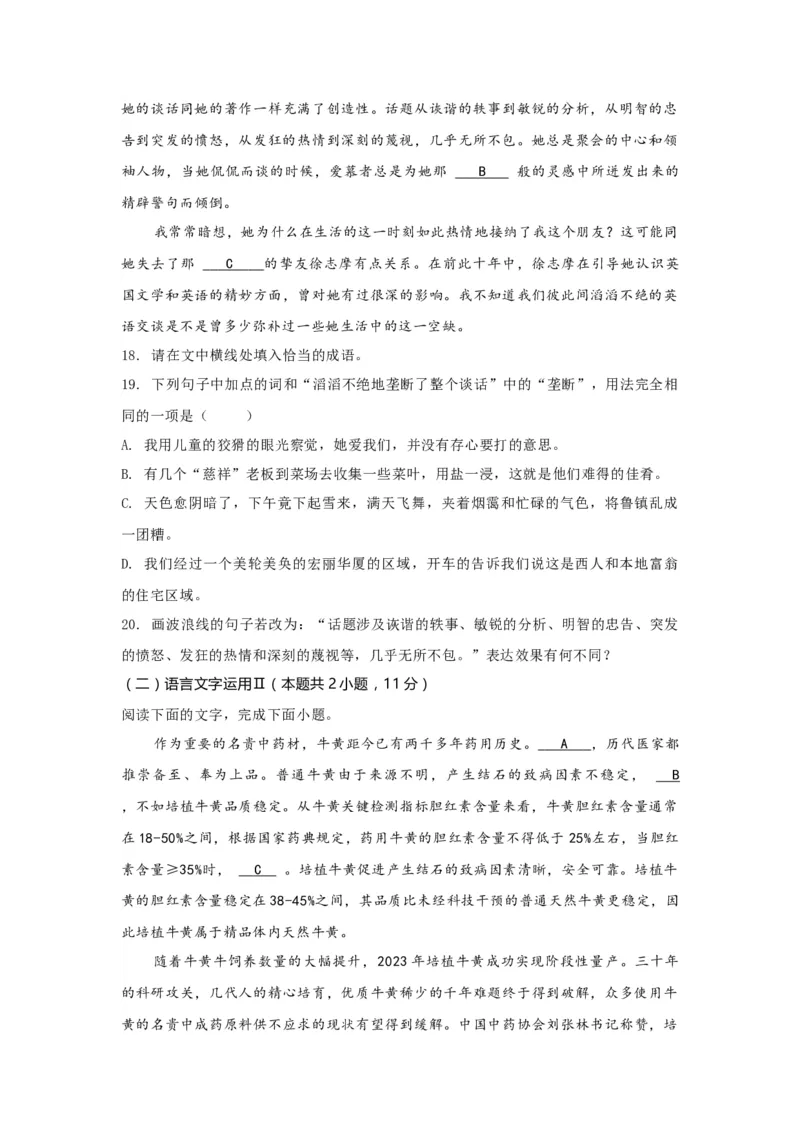 语文（四）-2024年高考考前20天终极冲刺攻略_01高考语文_4.22024年新高考资料_5.2024三轮冲刺_2024年高考语文考前20天终极冲刺攻略