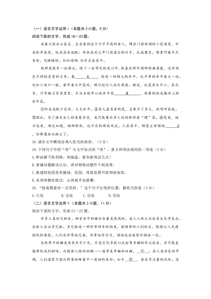 语文（四）-2024年高考考前20天终极冲刺攻略_01高考语文_4.22024年新高考资料_5.2024三轮冲刺_2024年高考语文考前20天终极冲刺攻略