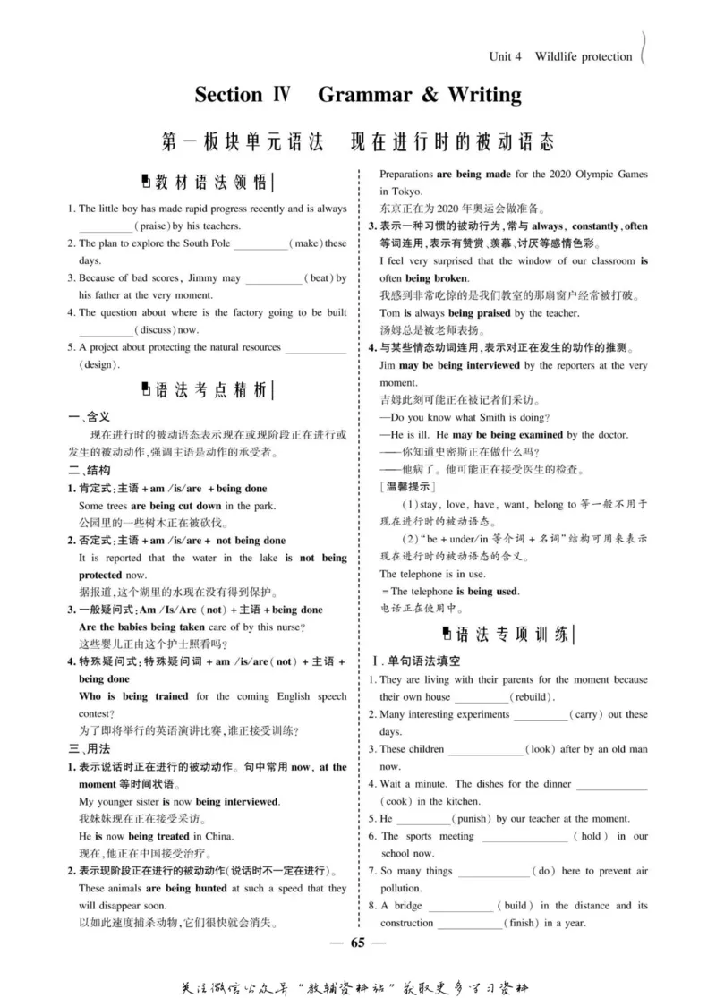 名师同步导学英语人教版必修2_名师同步导学_高中英语