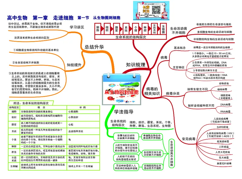 高中生物-思维导图（45图）_高中全科学习导图全套_（赠送）小学、初中、高中全科九门精品思维导图（621图）-可下载打印）