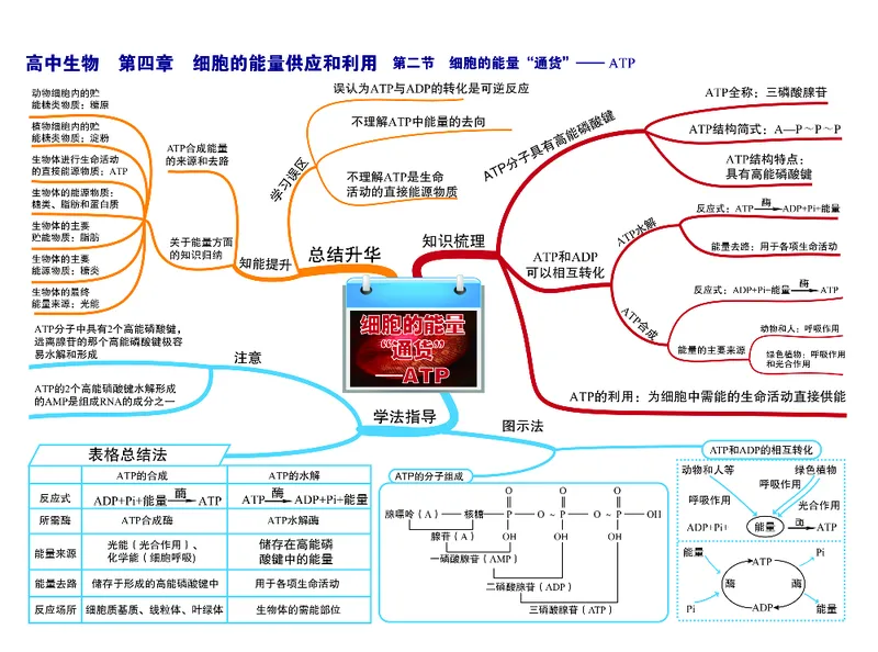 高中生物-思维导图（45图）_高中全科学习导图全套_（赠送）小学、初中、高中全科九门精品思维导图（621图）-可下载打印）