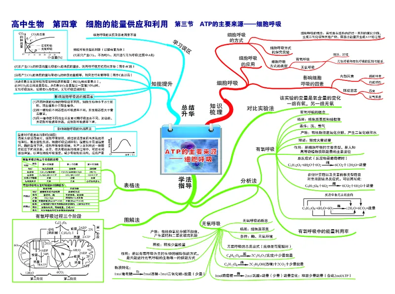 高中生物-思维导图（45图）_高中全科学习导图全套_（赠送）小学、初中、高中全科九门精品思维导图（621图）-可下载打印）