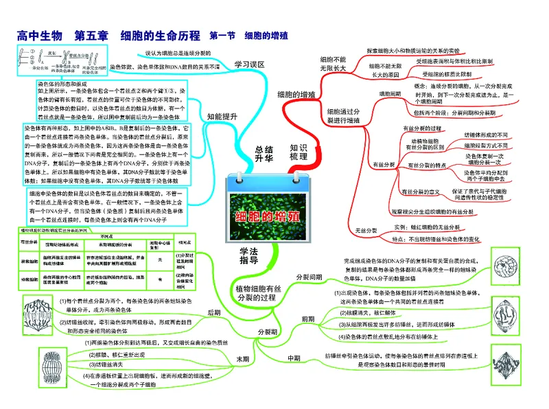 高中生物-思维导图（45图）_高中全科学习导图全套_（赠送）小学、初中、高中全科九门精品思维导图（621图）-可下载打印）