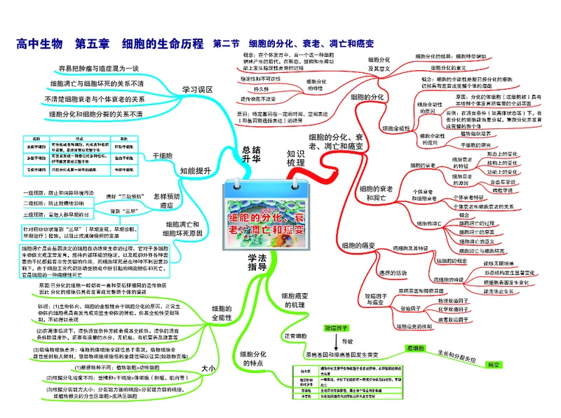 高中生物-思维导图（45图）_高中全科学习导图全套_（赠送）小学、初中、高中全科九门精品思维导图（621图）-可下载打印）
