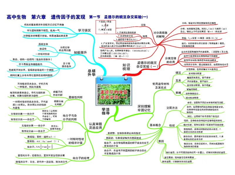 高中生物-思维导图（45图）_高中全科学习导图全套_（赠送）小学、初中、高中全科九门精品思维导图（621图）-可下载打印）