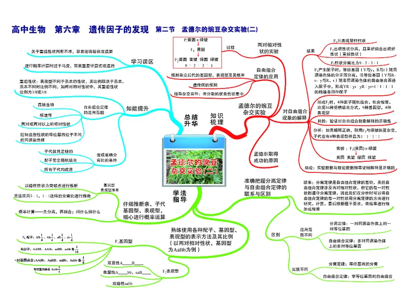 高中生物-思维导图（45图）_高中全科学习导图全套_（赠送）小学、初中、高中全科九门精品思维导图（621图）-可下载打印）