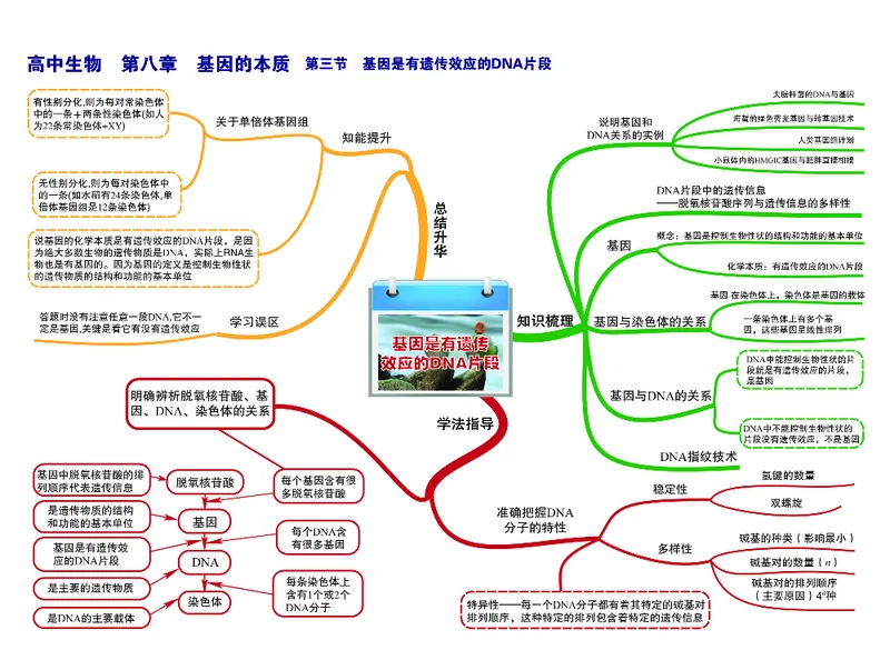 高中生物-思维导图（45图）_高中全科学习导图全套_（赠送）小学、初中、高中全科九门精品思维导图（621图）-可下载打印）