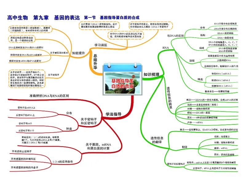 高中生物-思维导图（45图）_高中全科学习导图全套_（赠送）小学、初中、高中全科九门精品思维导图（621图）-可下载打印）