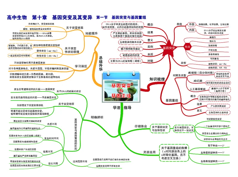高中生物-思维导图（45图）_高中全科学习导图全套_（赠送）小学、初中、高中全科九门精品思维导图（621图）-可下载打印）